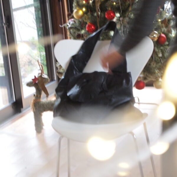 2025.11.25 | 鎌倉アガサッホ