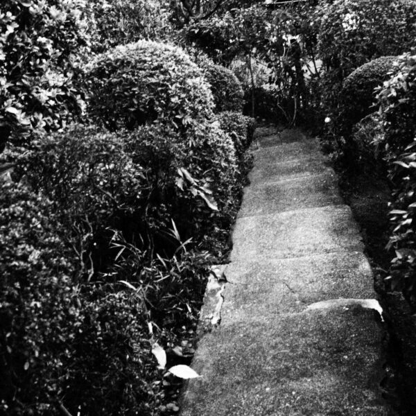 2026.1.15 | 鎌倉アガサッホ